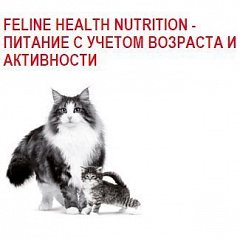 Feline Health Nutrition -  c    