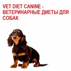 Vet Diet Canine -    