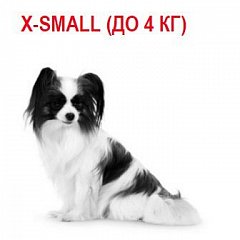 X-Small ( 4 )