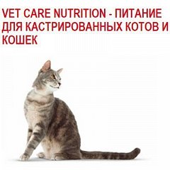 Vet Care Nutrition Wet -      