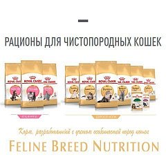 Feline Breed Nutrition -     