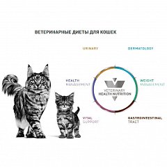 Veterinary Health Nutrition Cat Wet -      ( )