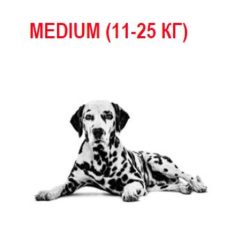 Medium (11-25 кг)