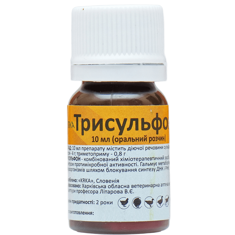 Порно орыс жетілген мұғалімдер Порно онлайн секс-шоу