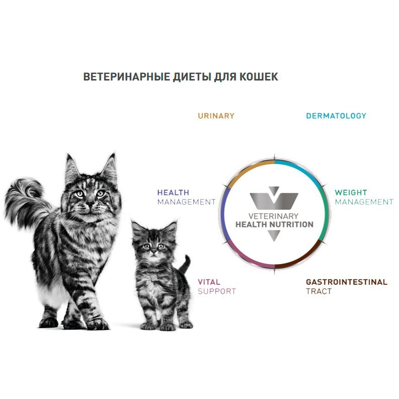 Veterinary Health Nutrition Cat Wet - ветеринарное здоровое питание для кошек (влажные рационы)