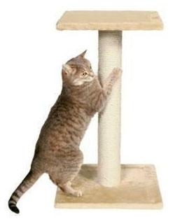 10 способов сделать когтеточку для кошки своими руками - Лайфхакер