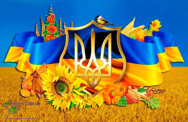 С Днем Независимости Украины! Поздравление от компании Ветмаркет
