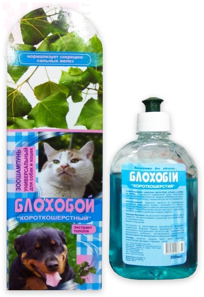 ���������� �������� ���������������, 300 ��, �����. ��������������� ��������