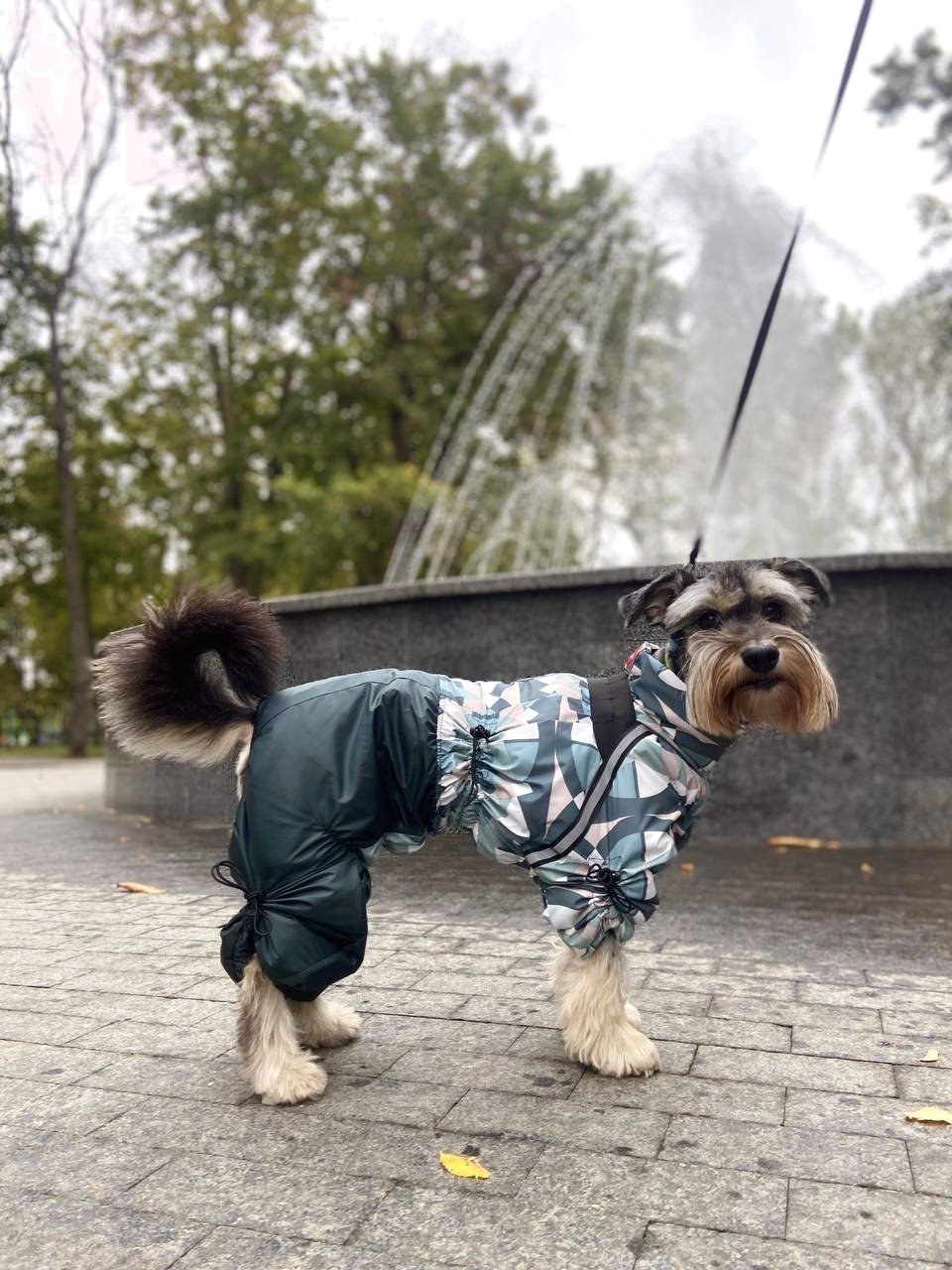 ���������� Diego snow sintepon print F ������� ���������. ����