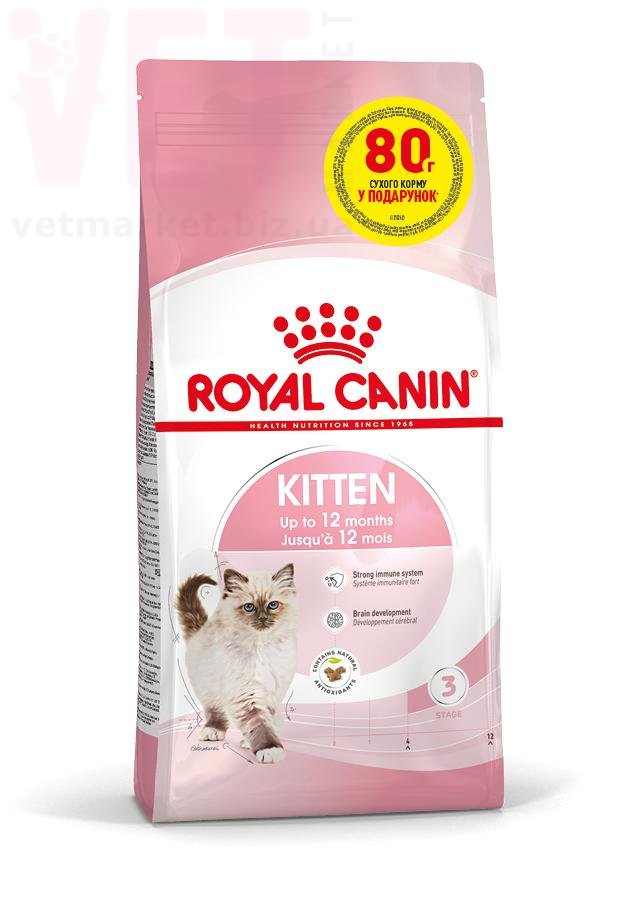 ���� ����� Kitten, 320 � + 80 �. GROWTH
