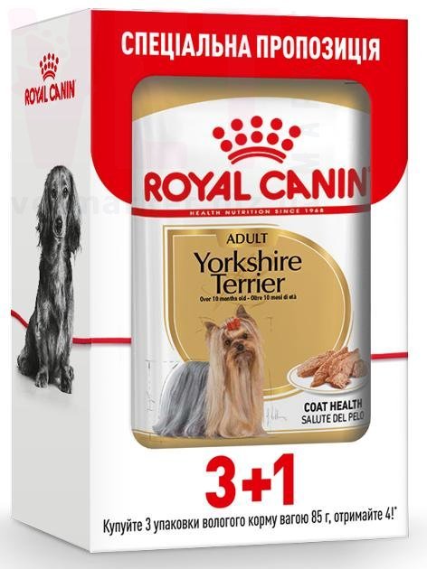 ���� ����� Yorkshire Adult 3+1. Canine Health Nutrition Wet - ������� �������