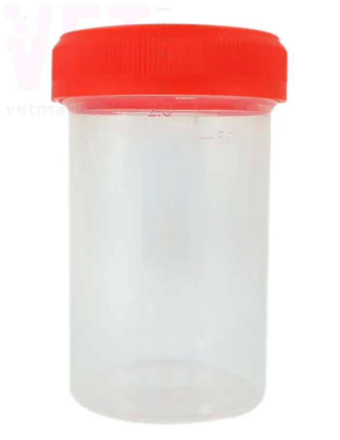 ������� ��� ����� ����, 60 ��, ����������. ϳ������������� ������ �� �������� ��������