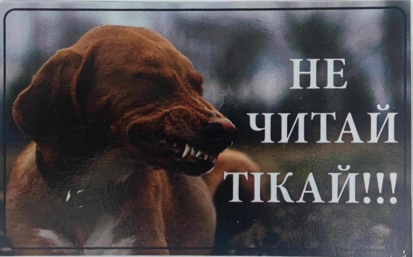 �����/�� �����!!! �i��� (�����). ����� / ����� � �����������