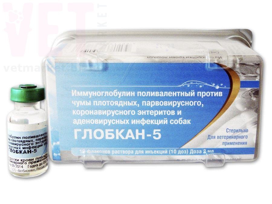 �����/�������-5 �������������� ������ ����, �����- � ��������������� ��������, ����������� �����. ����� / ����� � �����������