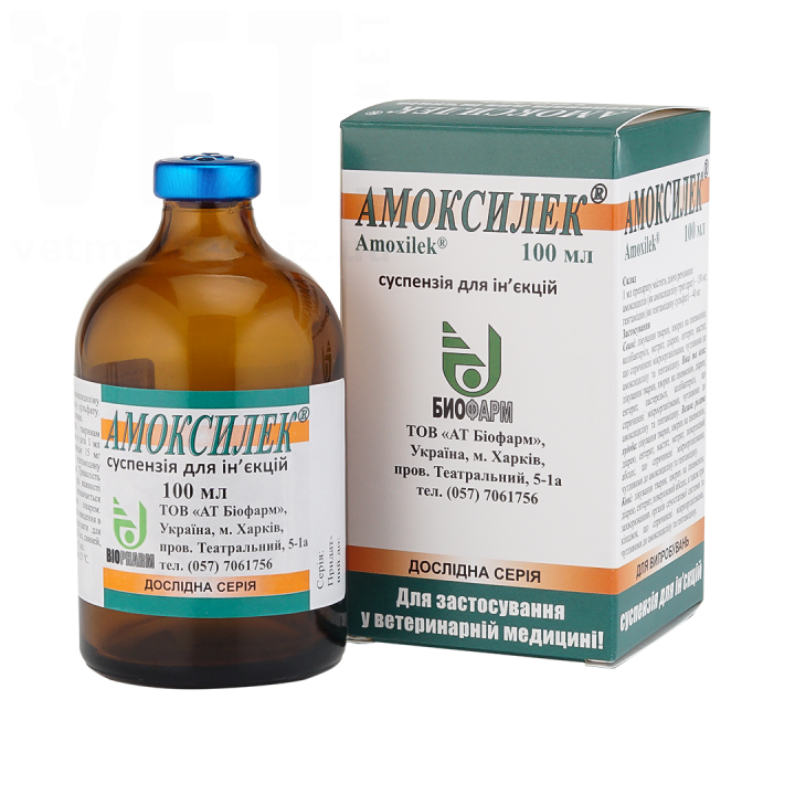 ���������, 100 ��, �������. ������������� � ����������������� ���������