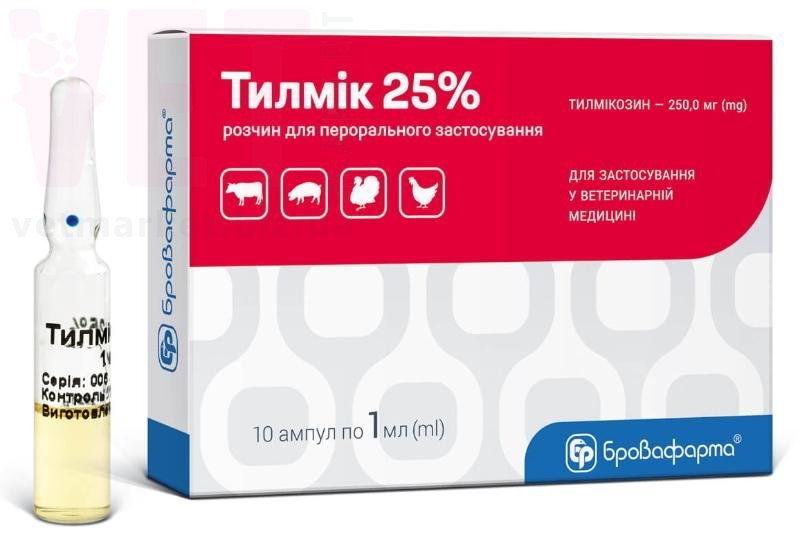 ������ 25%, 10 ���*1 ��, ����������. �����������