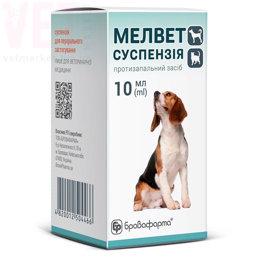 ������ ��������� ��������, 10 ��, ����������. �������������