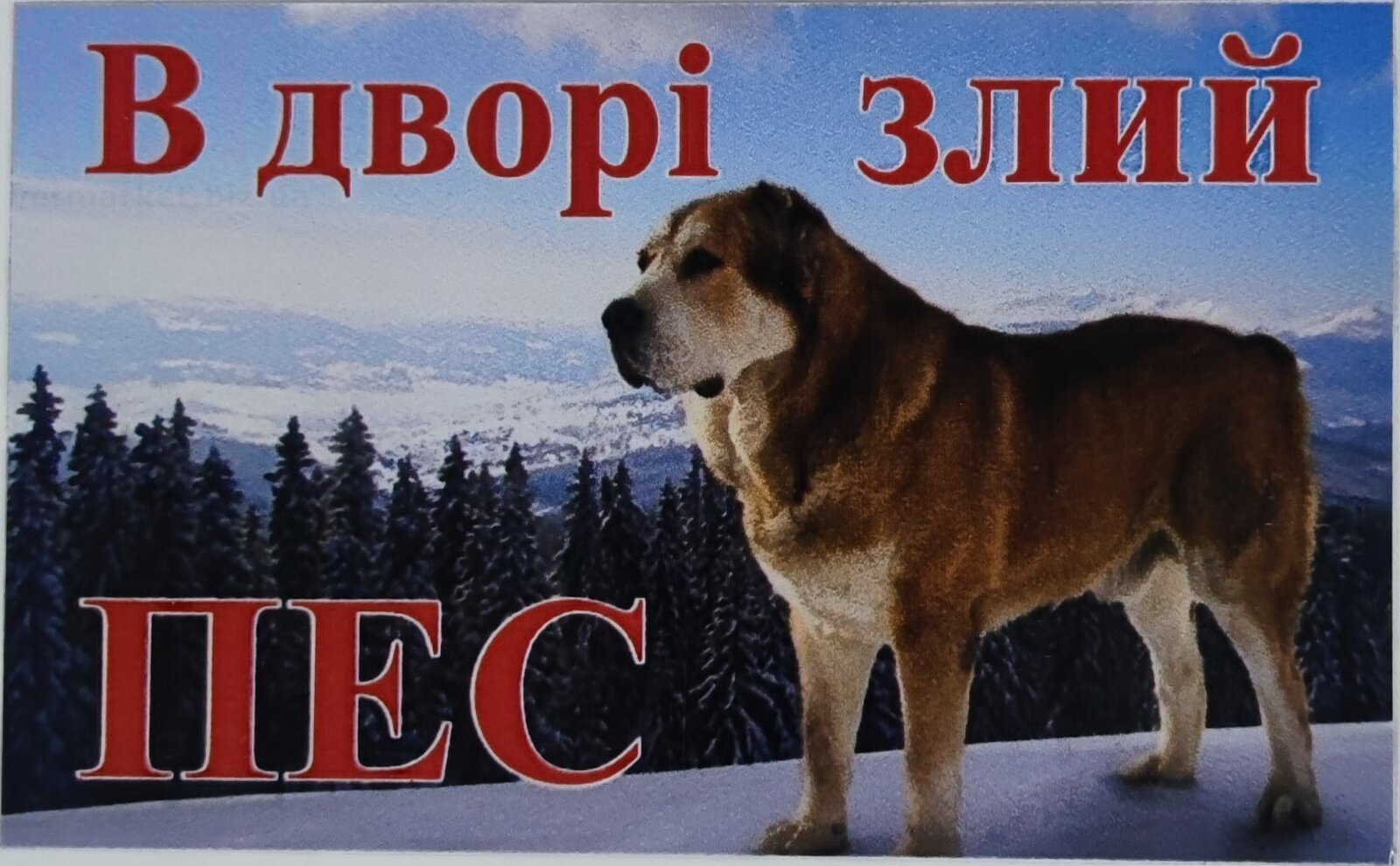 � ����i ���� ��� (������). �������� ������� �� ������