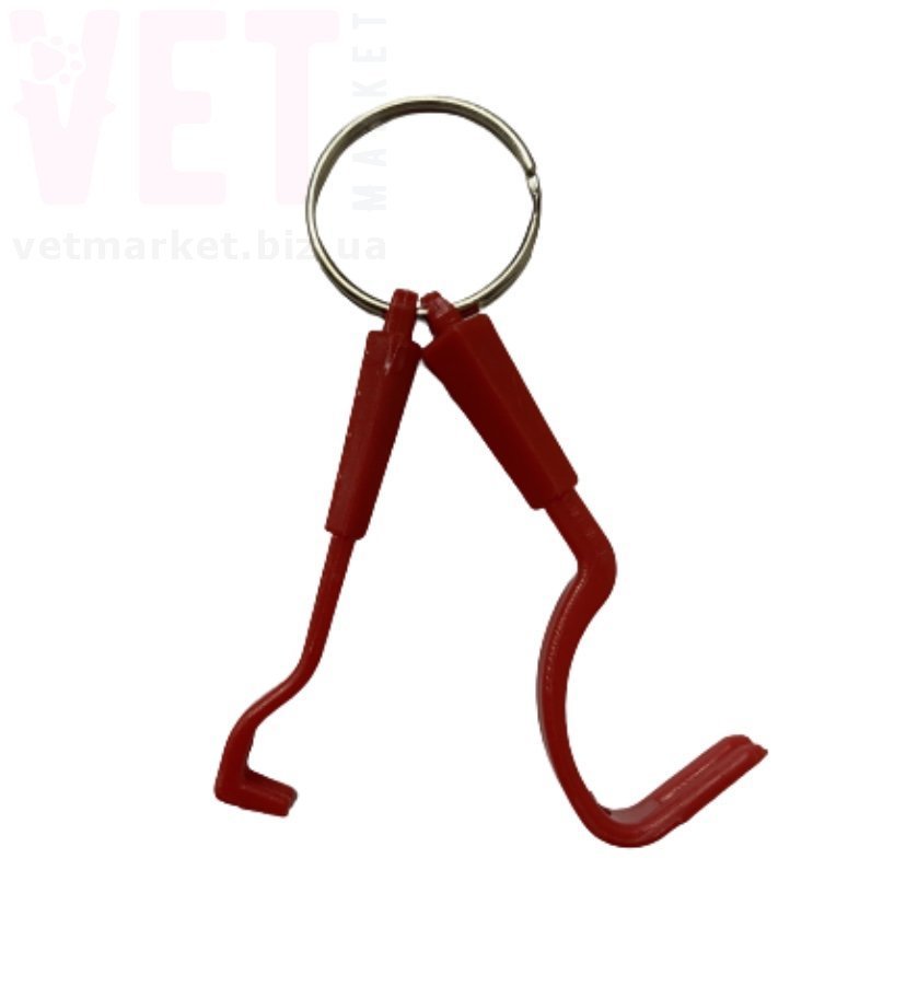 �����/���������-������ ������, 2 ��.. ����� / ����� � �����������