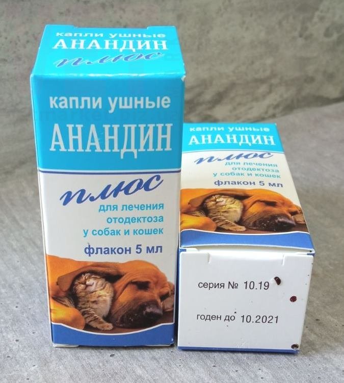 �����/������� ���� ����� �����, 5 ��, �������. ����� / ����� � �����������