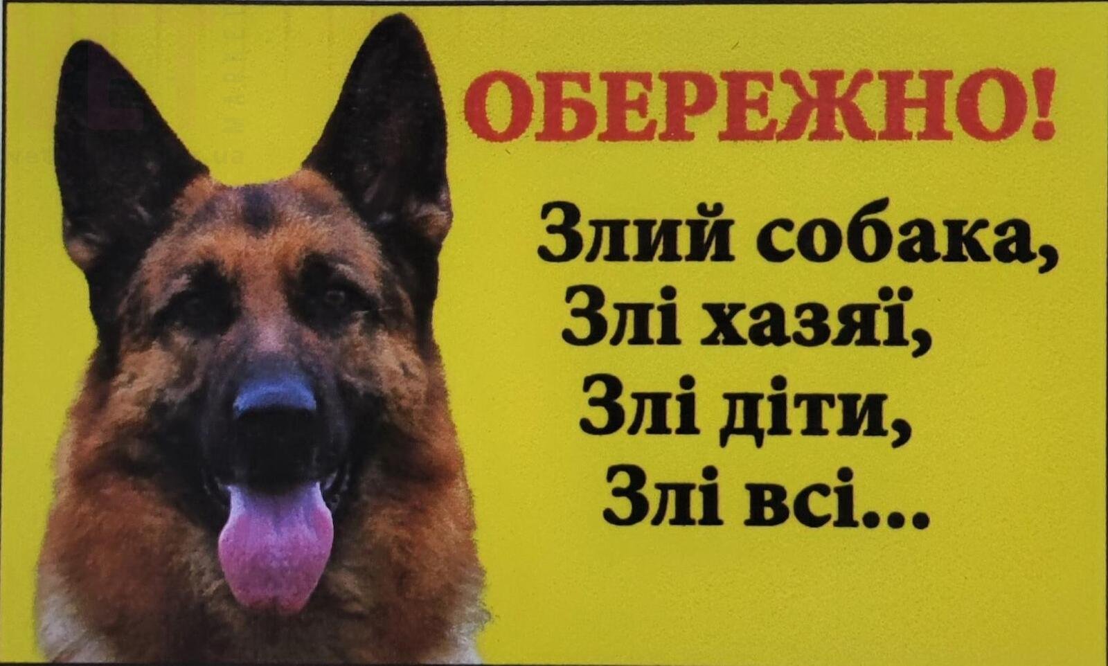 !!!  ,  ,  i,  i (i).    