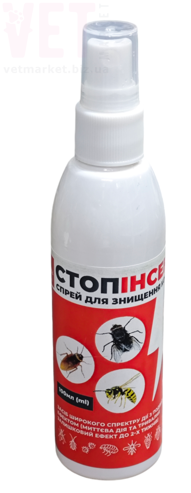 ����-������ �����, 100 ��, ����������. ������ ������� �� ����� �� ��������