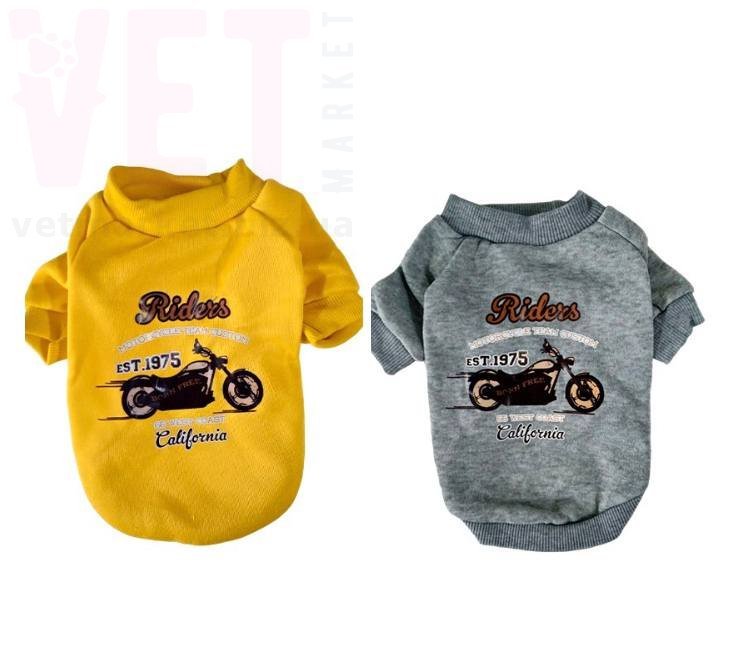 ������� 100-56 ��������. �����/����