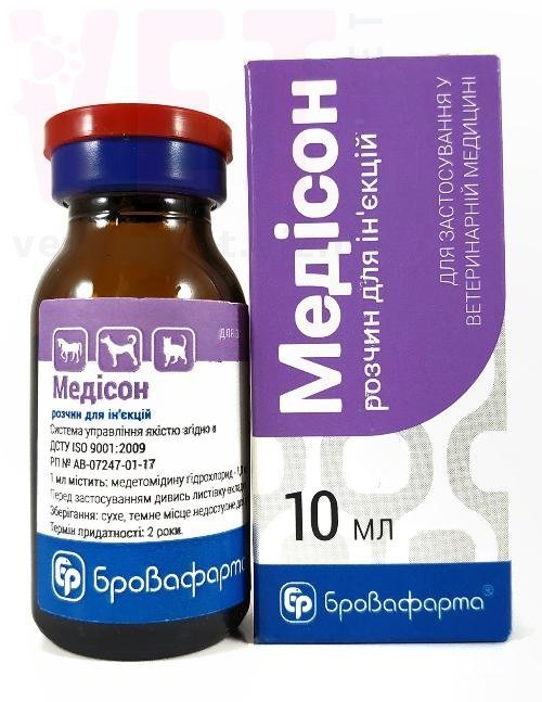 �������, 10 ��, ����������. �����������, ���������, �����������