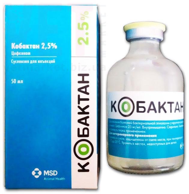 / 2,5%, 50 , MSD ().  /   