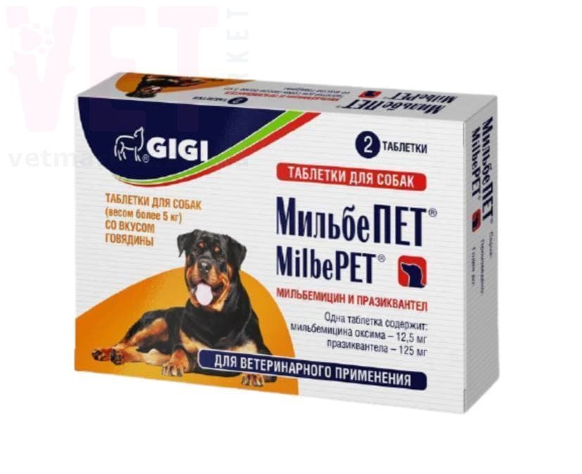 �����/GiGi ������ ��� ��� ����� 5-25 ��, 2 ����., ��������. ����� / ����� � �����������