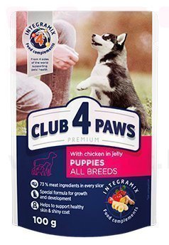 ���� 4 ���� ��� ������ � �������, 100 �. ��� �����