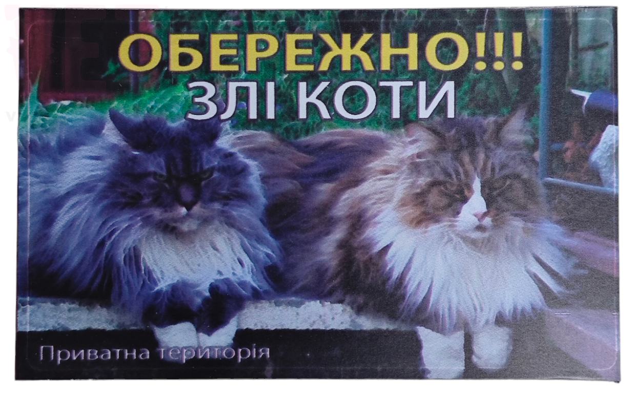 ��������! �� ���� (�������� ��������). �������� ������� �� ������