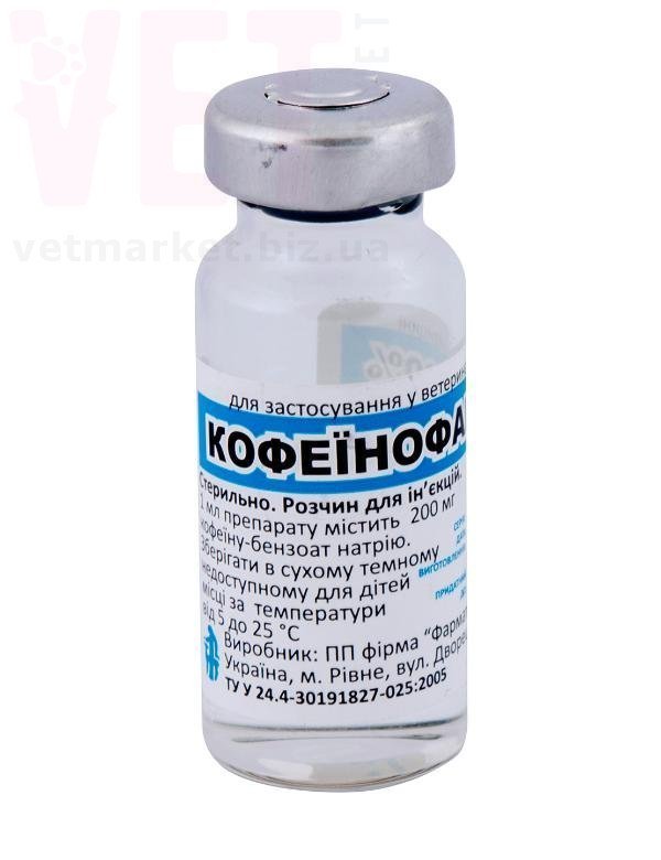 �����/�����������, 10 ��, ��������. ����� / ����� � �����������