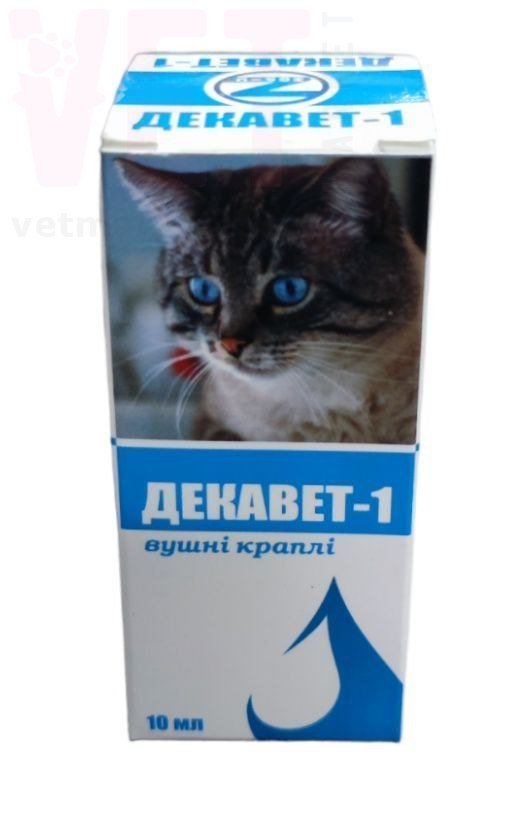 ������� �1 �����, 10 ��, �����. ����� �����, ����, �������