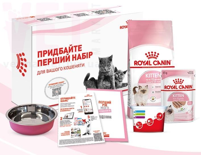 �����/���� ����� Kitten ��������� �����. ����� / ����� � �����������