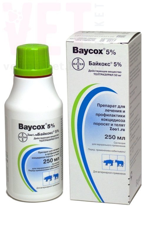 �����/������� 5%, 250 ��, Bayer (�����). ����� / ����� � �����������
