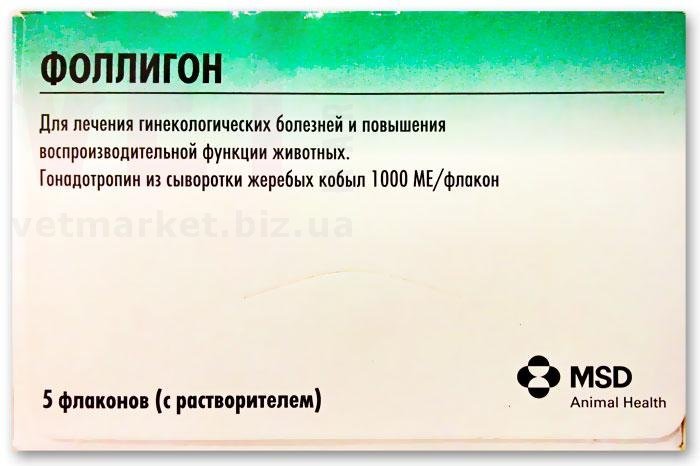 Архив/Фоллигон, 1 Фл.Х 5 Мл + Растворитель 1 Фл. 1000 МЕ, Интервет