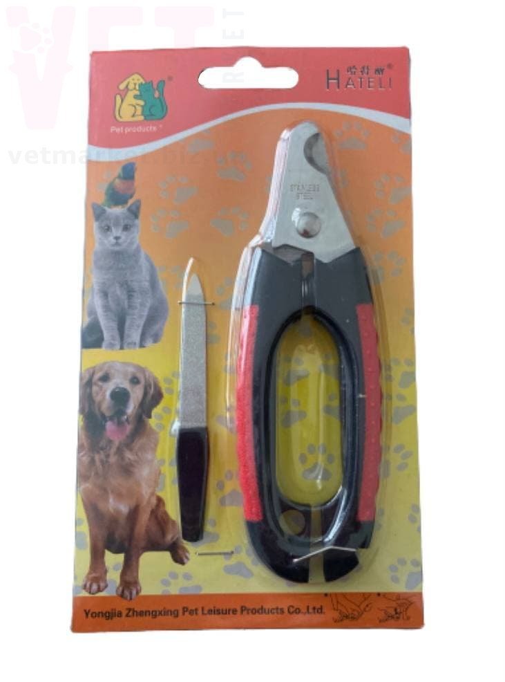 �������� 25-24 � �������� ������������. ʳ������