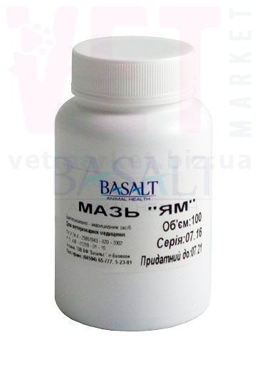 ���� ��, 100 �, �������. ����, �����, ����