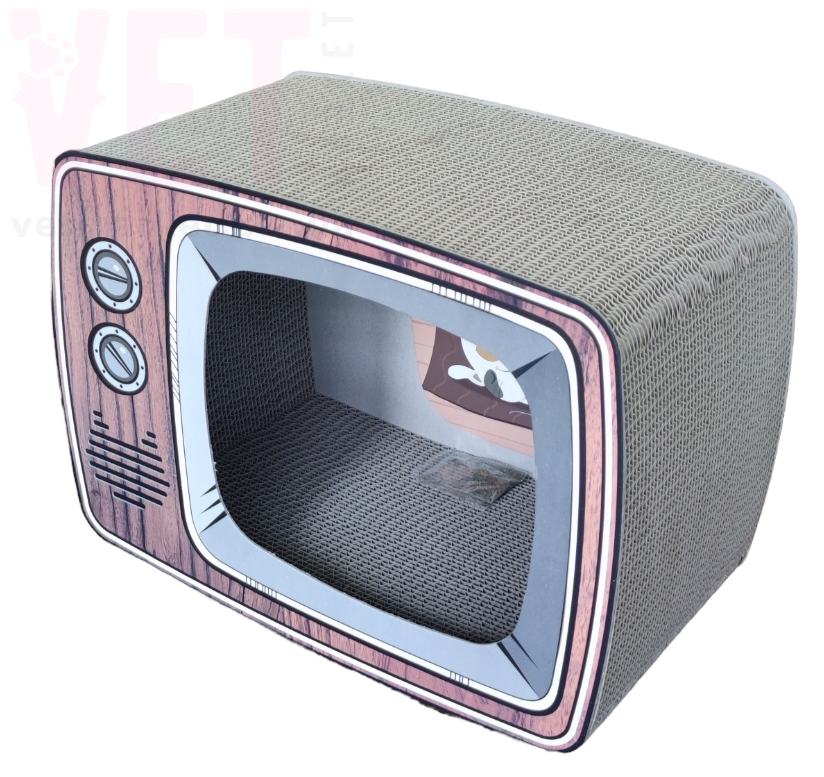 ���������� 6-55 ���������. ʳ�������