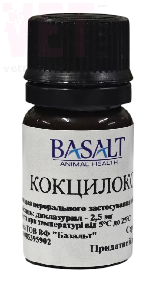 ����������, 10 ��, �������. ����������������