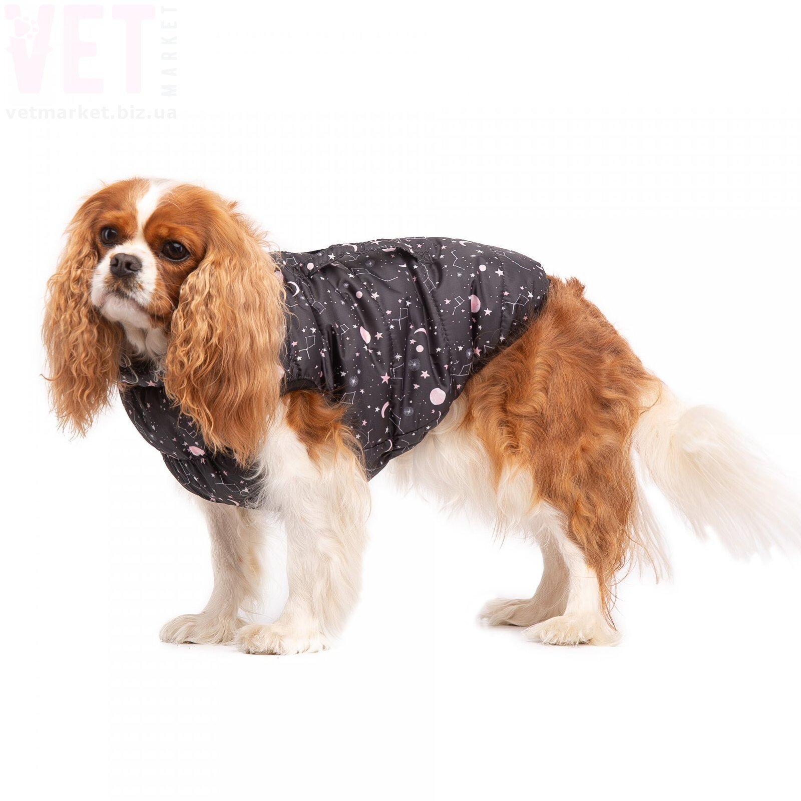 ����� DIEGO sport 4/8 ��������� ������. �����/����