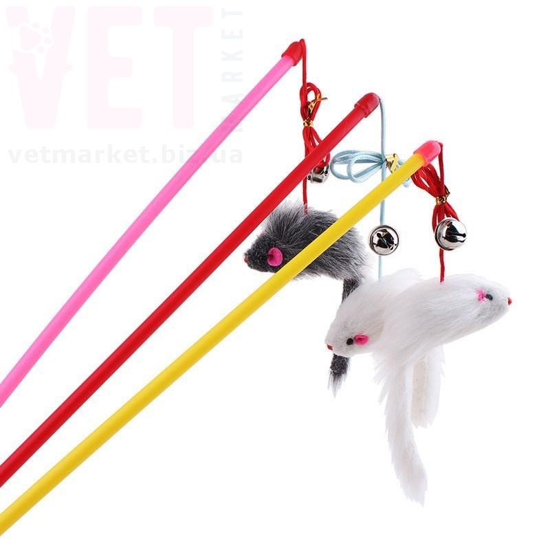 ������� 7-13 ������ � ������. ������� ��� �����