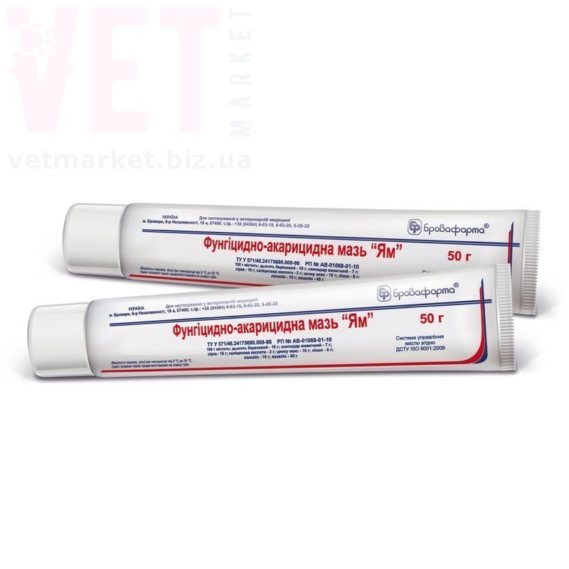 ���� ��, 50 �, ����������. ����, �����, ����