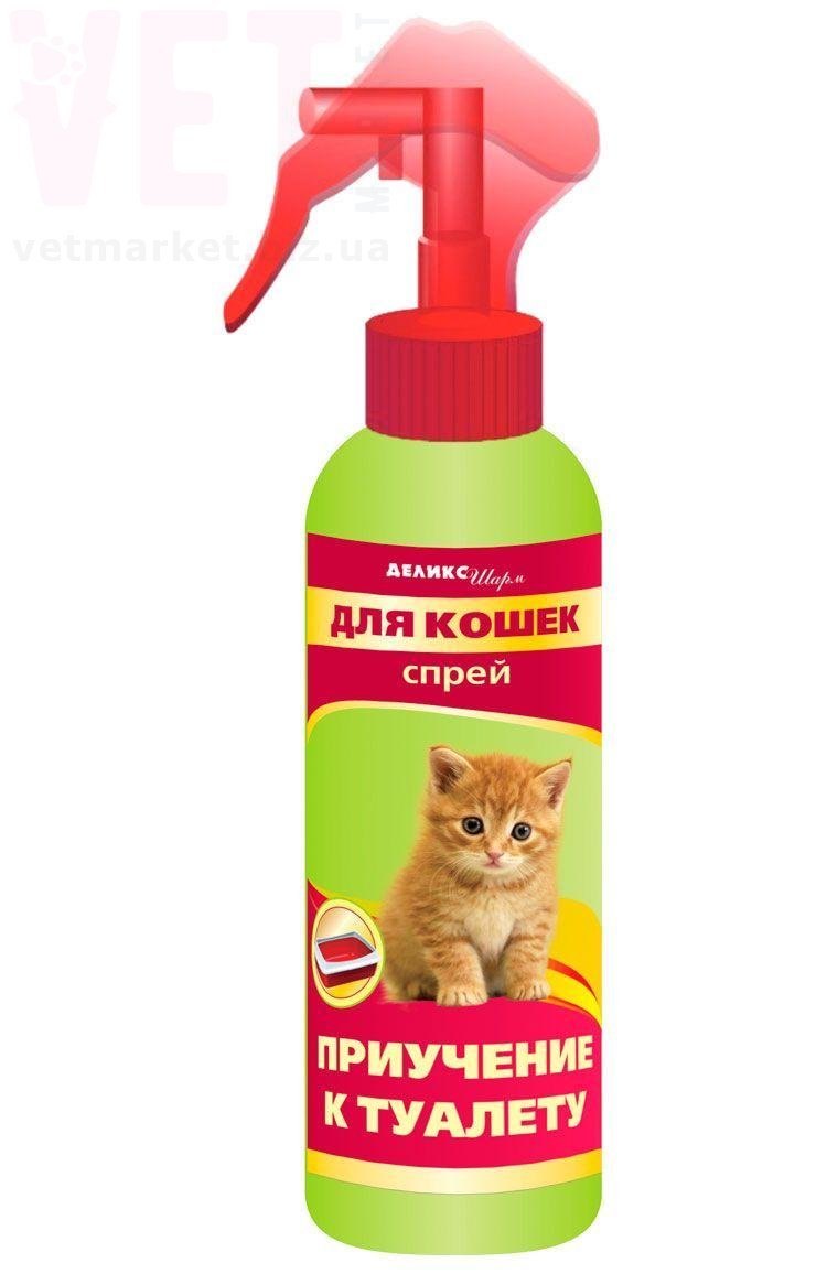 �����/����� ������ ���� ��������� � ������� �����, 200 ��. ����� / ����� � �����������