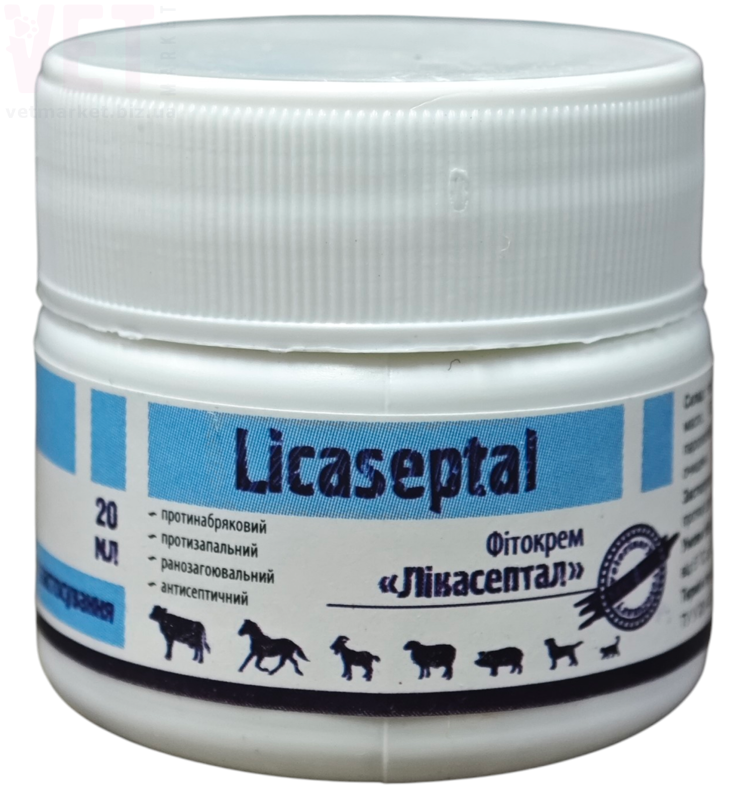 ���� ����������, 20 ��, ����. ����, �����, ����