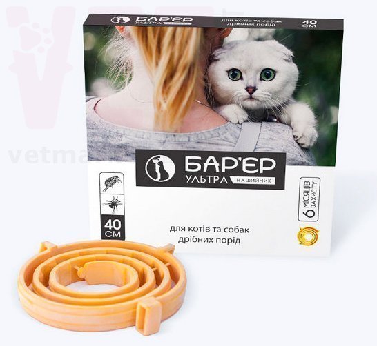 ������ ������ ������� ��� ����� � ����� ������ �����, 40 ��, �������. ��������