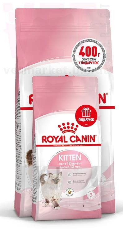 ���� ����� Kitten, 2 �� + 400 �. GROWTH