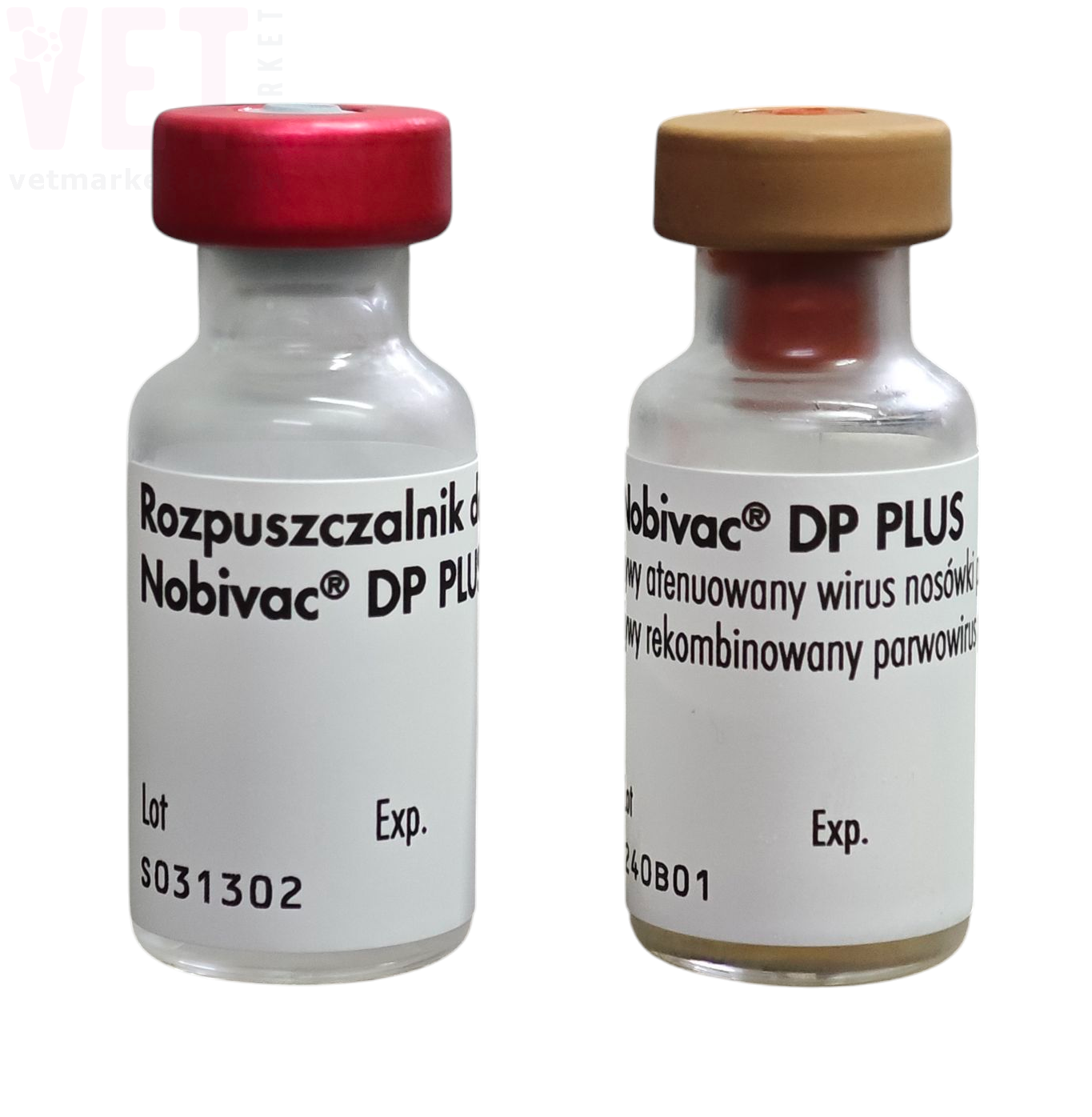 ������� ����� DP Plus + ������������, MSD. �������, ���������