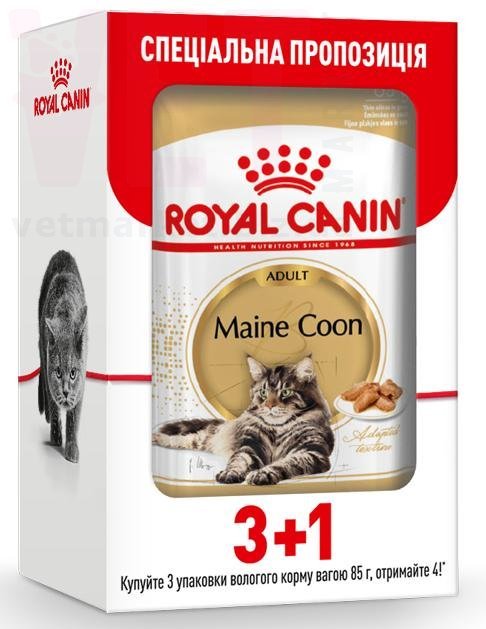 ���� ����� Mainecoon Adult 3+1. Feline Health Nutrition Wet - ������� �������